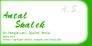 antal spalek business card